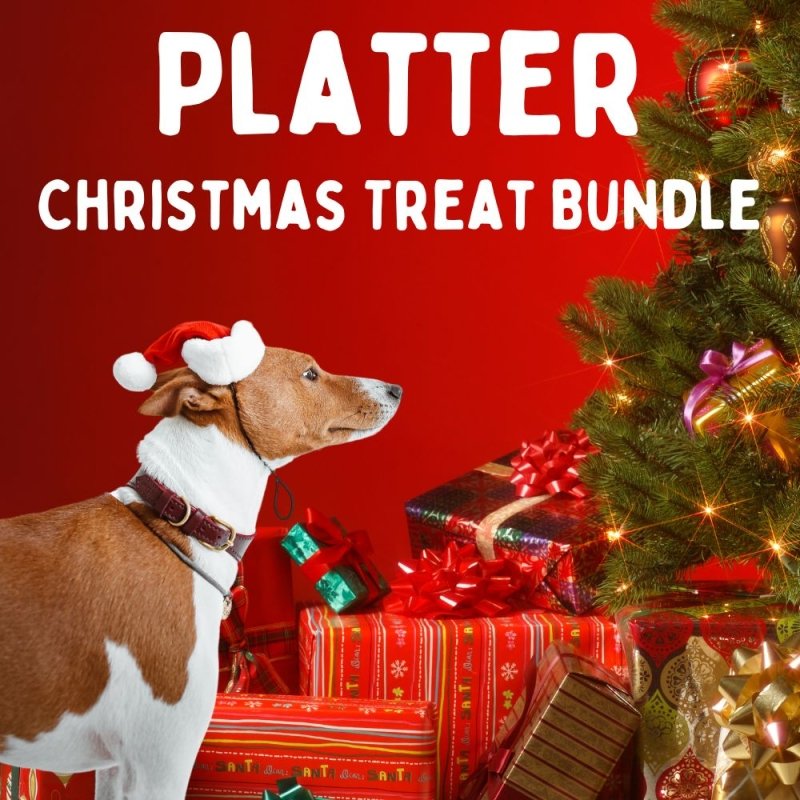 Platter Christmas Treat Bundle 🎅🐶🎅 15% Off Normal Price!