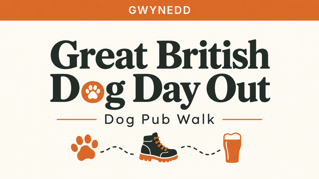 Gwynedd | Great British Dog Day Out | Dog Pub Walk