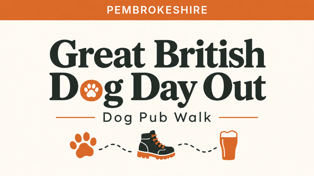 Pembrokeshire | Great British Dog Day Out | Dog Pub Walk