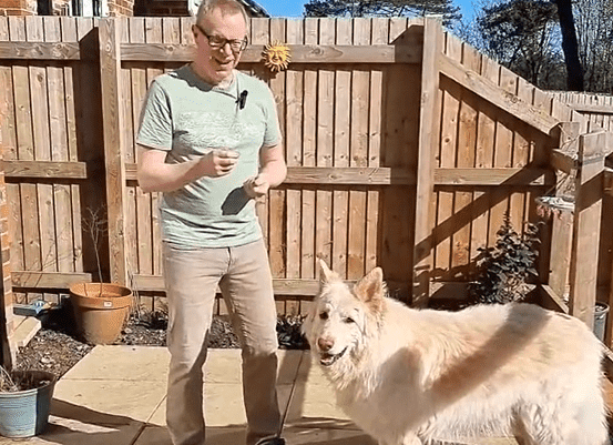 HQ Training Drill: Treat Throw Recall - An Easy Recall Game for Dogs
