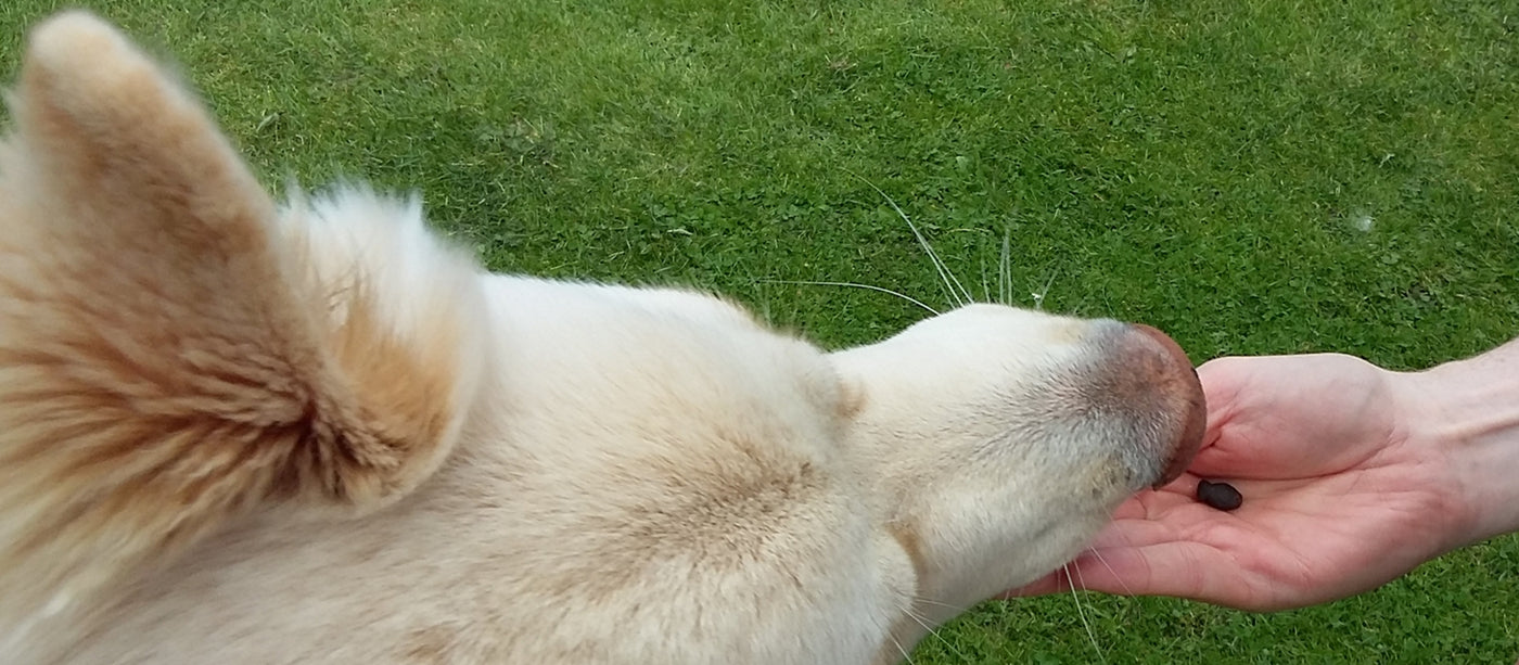 Deliciously Healthy - Only 5 Ingredients!