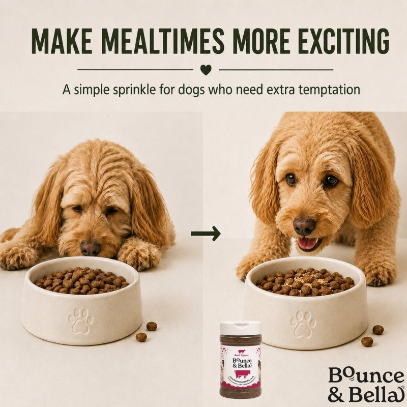 100% Beef Food Topper for Dogs (160g)