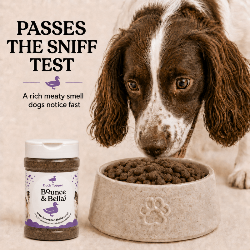 100% Duck Food Topper for Dogs (160g)