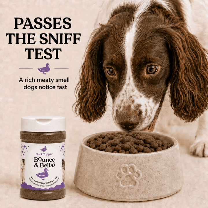 100% Duck Food Topper for Dogs (160g)