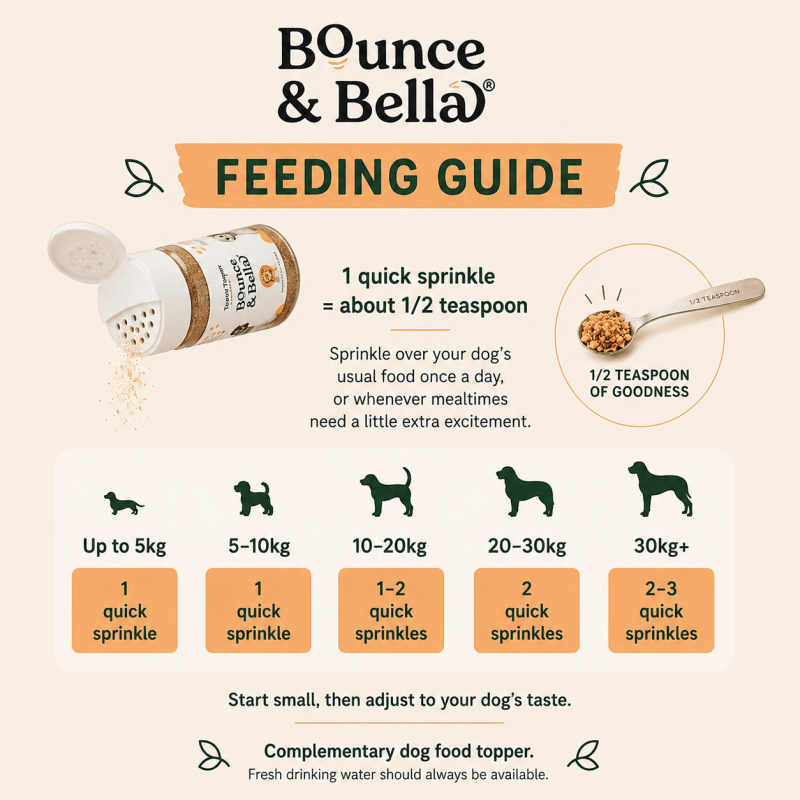 100% Salmon Food Topper for Dogs (160g)
