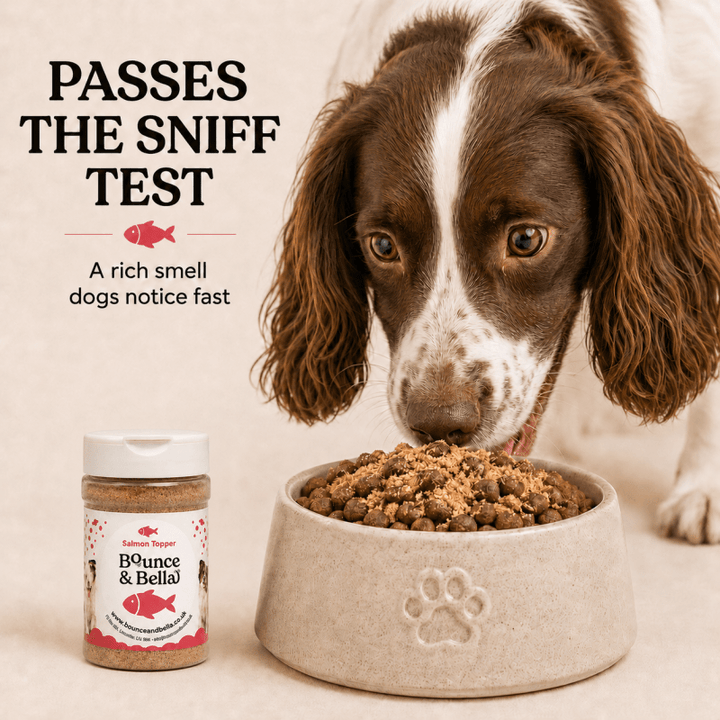 100% Salmon Food Topper for Dogs (160g)