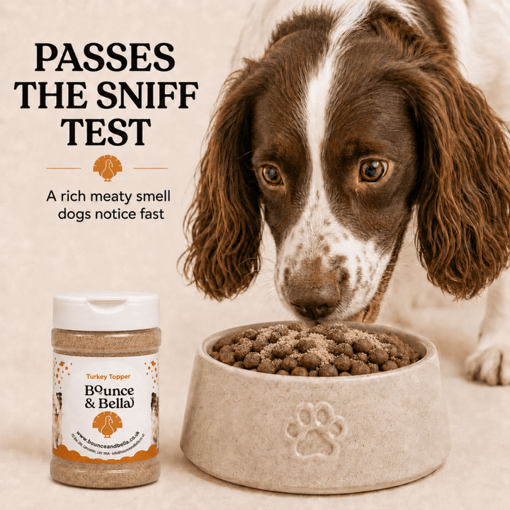 100% Turkey Food Topper for Dogs (160g)