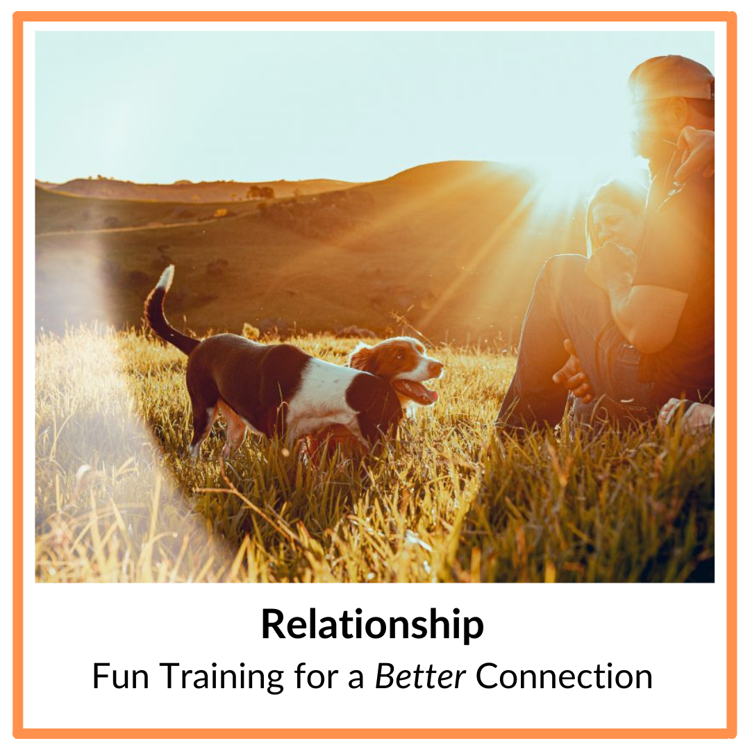 Relationship - fun training for a better connection