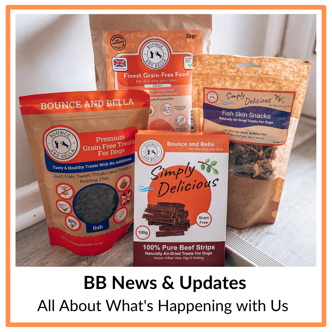 BB News and Updates - all about what's happening with us.