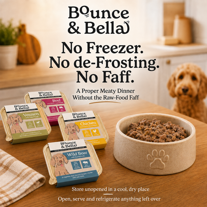 Bounce &amp; Bella wet dog food trays - no freezer or defrosting needed