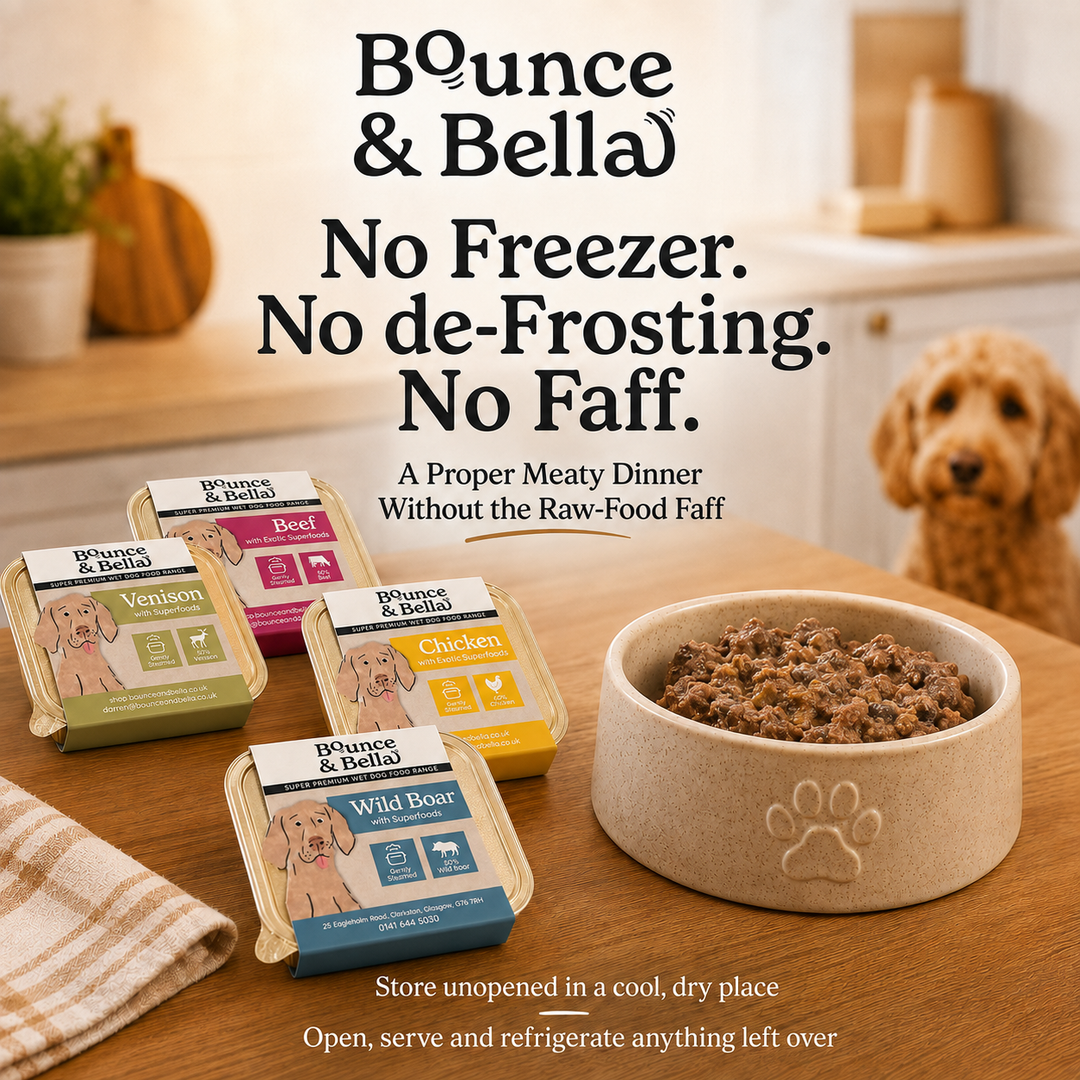 Bounce &amp; Bella wet dog food trays - no freezer or defrosting needed