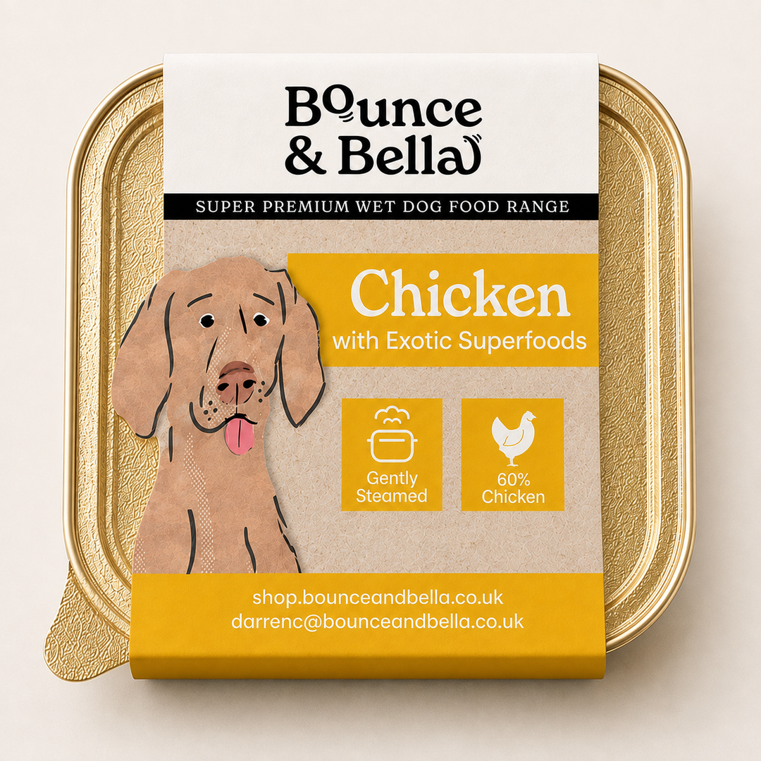 Bounce &amp; Bella Chicken Wet Dog Food Tray with 60% chicken
