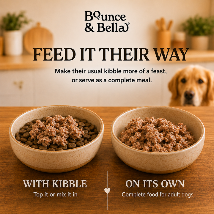 Bounce &amp; Bella wet dog food served with kibble or as a complete meal