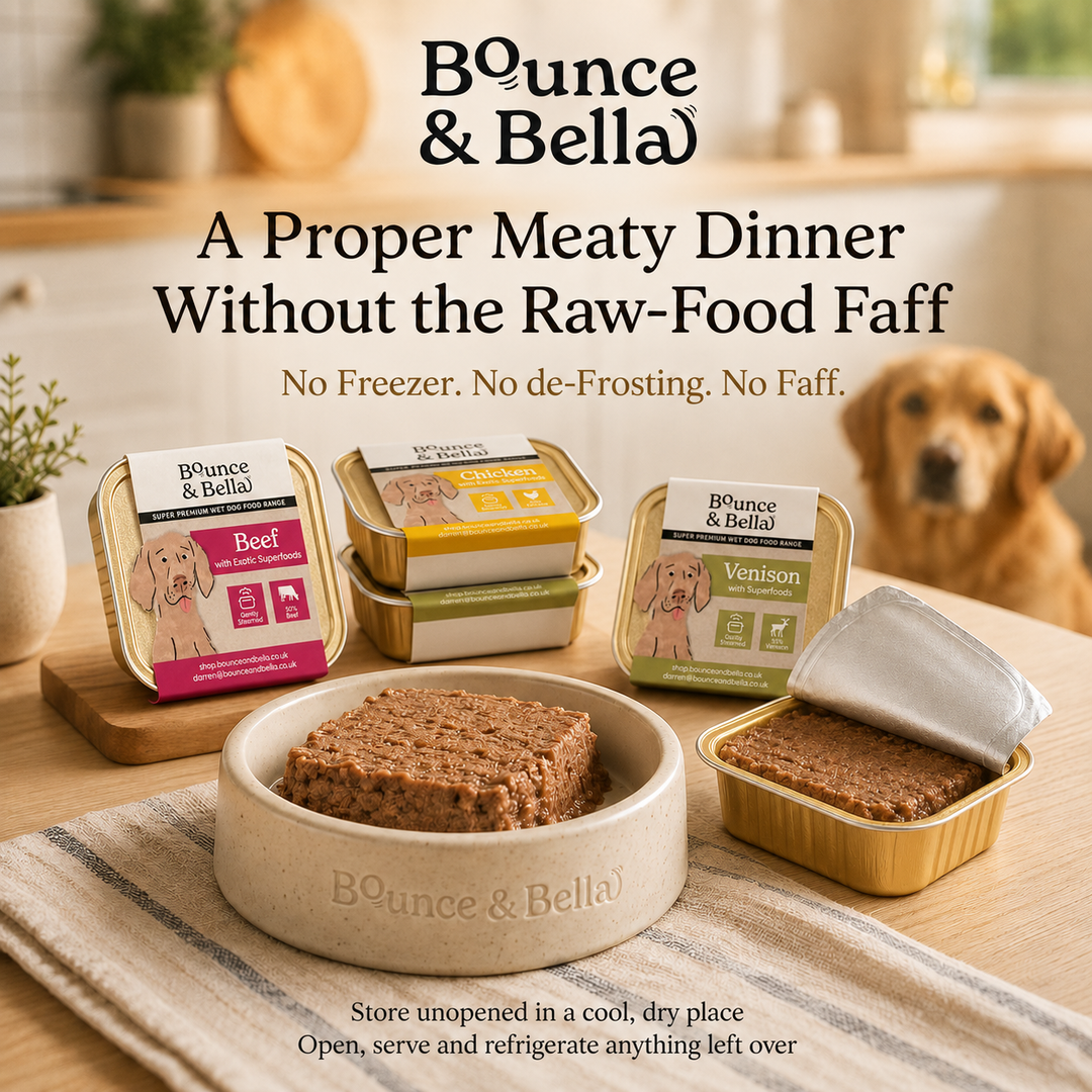 Bounce &amp; Bella wet dog food - a convenient alternative to raw feeding