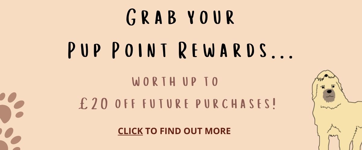 pup point rewards - click to find out more