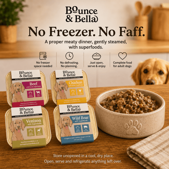 Convenient Bounce &amp; Bella wet dog food trays served in a dog bowl