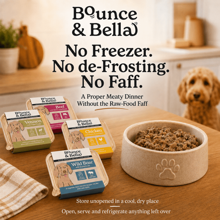 Mixed wet dog food trays beside a dog bowl - no freezer or defrosting needed