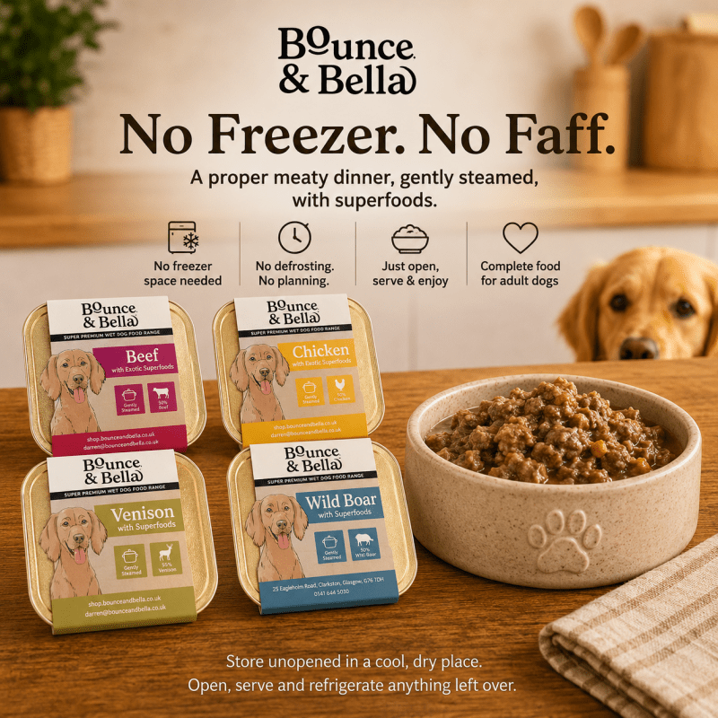 Bounce &amp; Bella wet dog food trays and bowl - complete adult dog food with easy ambient storage