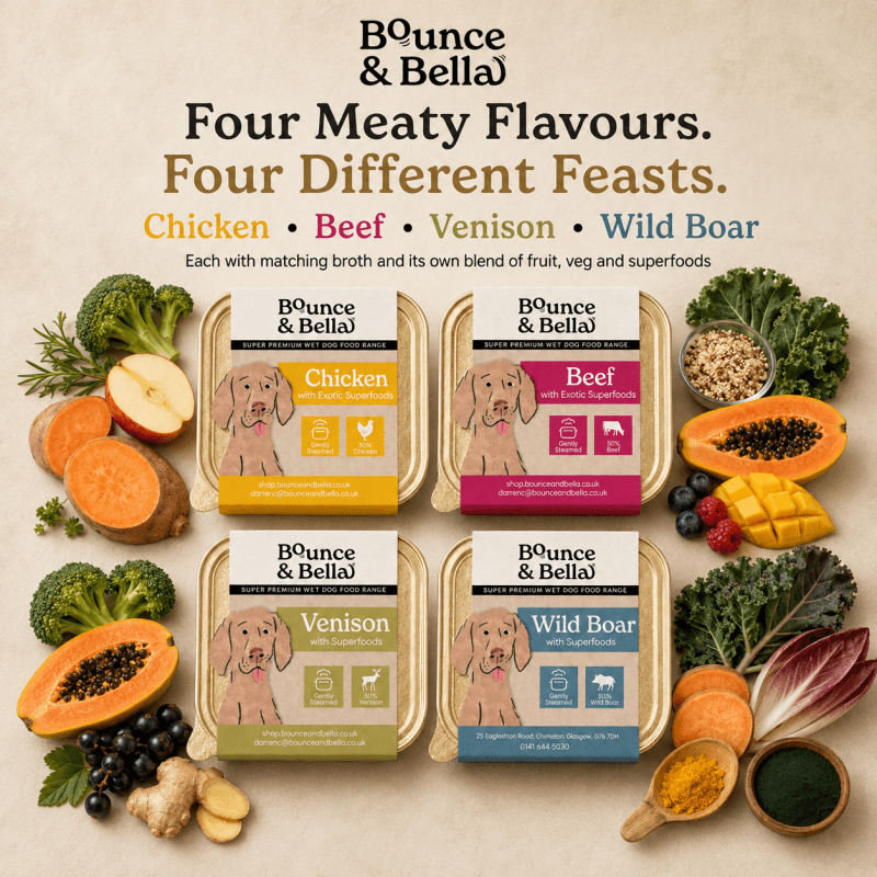 Chicken, Beef, Venison and Wild Boar wet dog food trays with fruit, veg and superfoods