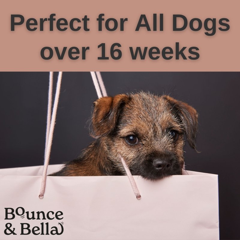 **Discounted Multipack** - 2 Packs - 1 Poultry (500g) & 1 Fish (500g) for only £19.98 (save £4 on the normal price!) - Grain Free Ultimate Fish & Poultry Treats for Dogs