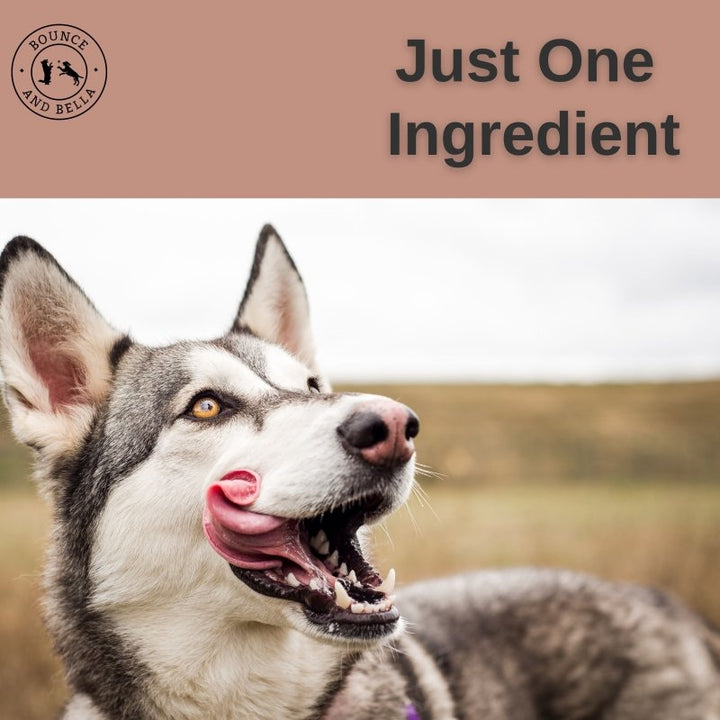 **Discounted Multipack** - 5 Packs for only £14.45 - Natural Wild Boar Strips, low fat, hypoallergenic chews for all ages - 5 Pack