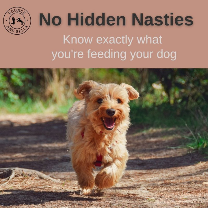 **Discounted Multipack** - 5 Packs for only £14.45 - Natural Wild Boar Strips, low fat, hypoallergenic chews for all ages - 5 Pack