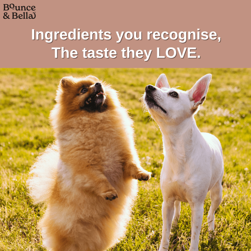 Gourmet Dog Sausages - Beef with Sweet Potato & Spinach, 200g