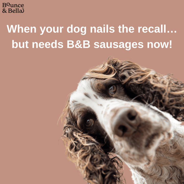 Gourmet Dog Sausages - Beef with Sweet Potato &amp; Spinach, 200g