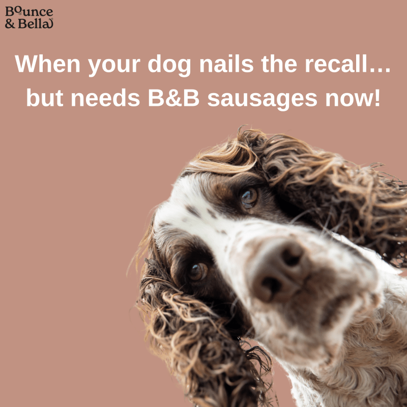 Gourmet Dog Sausages - Beef with Sweet Potato & Spinach, 200g