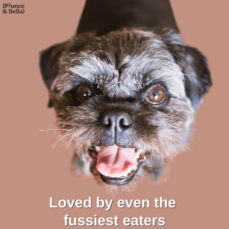 Gourmet Dog Sausages - Beef with Sweet Potato & Apple, 200g