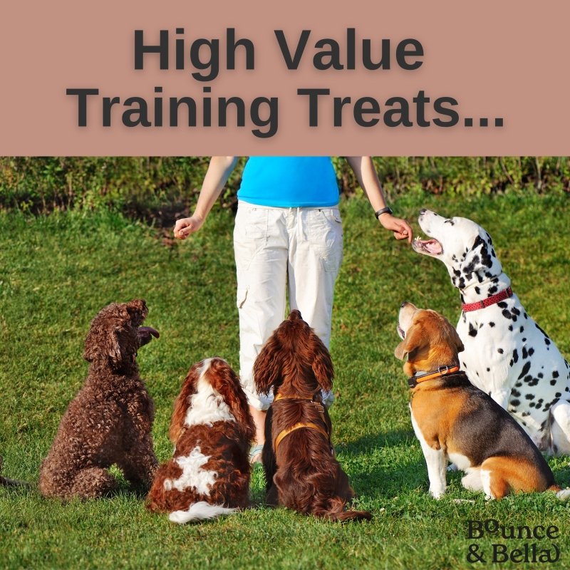 Grain Free Ultimate Training Treats for Dogs - Fish 500g