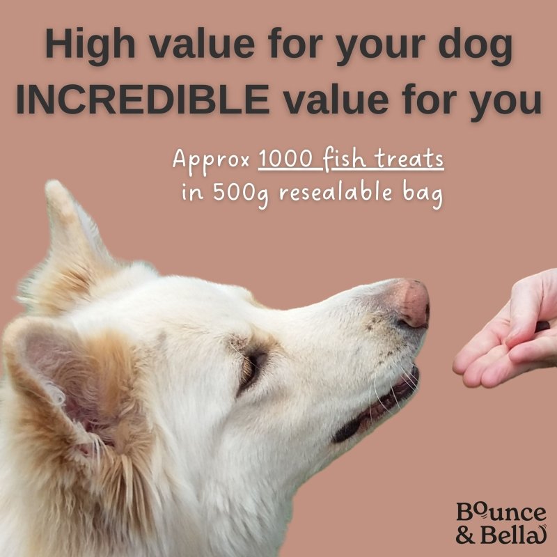 Grain Free Ultimate Training Treats for Dogs - Fish 500g