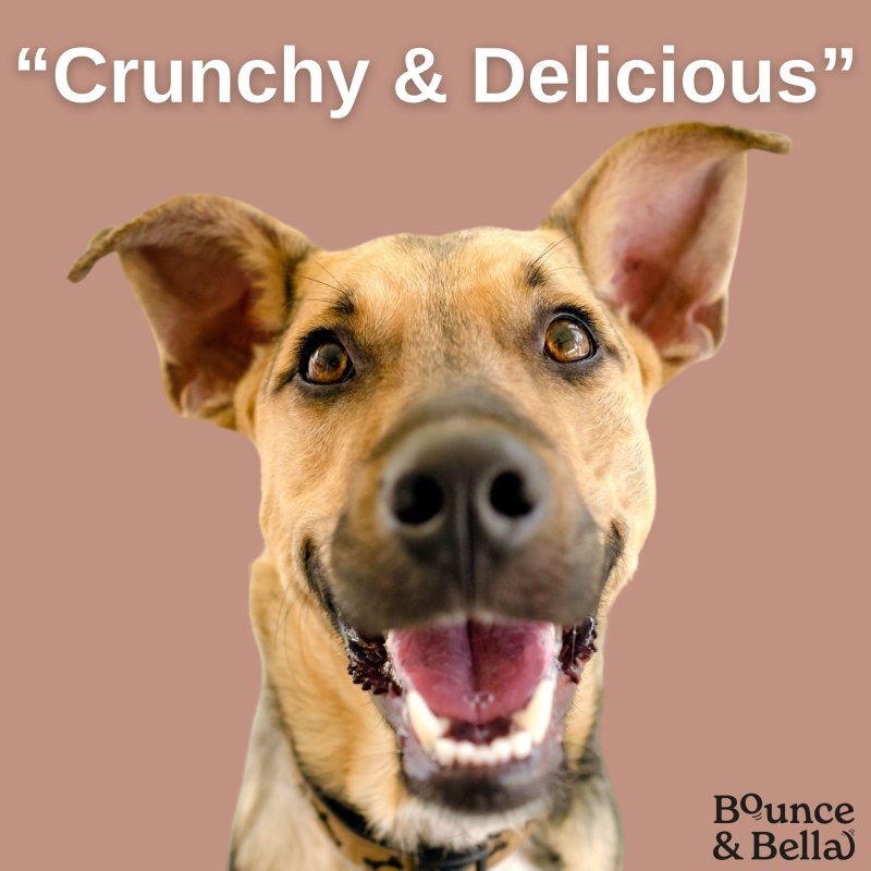 Grain Free Ultimate Training Treats for Dogs - Fish 500g