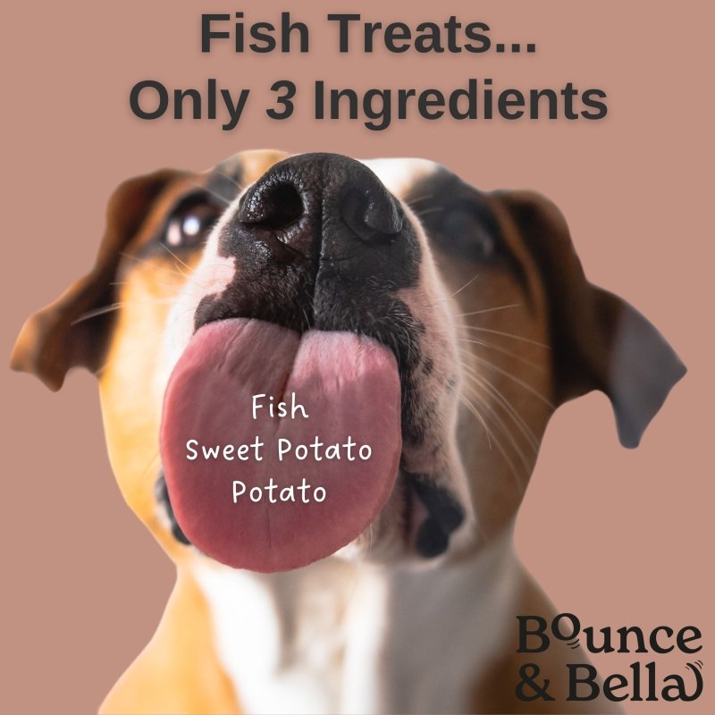 Grain Free Ultimate Training Treats for Dogs - Fish 500g