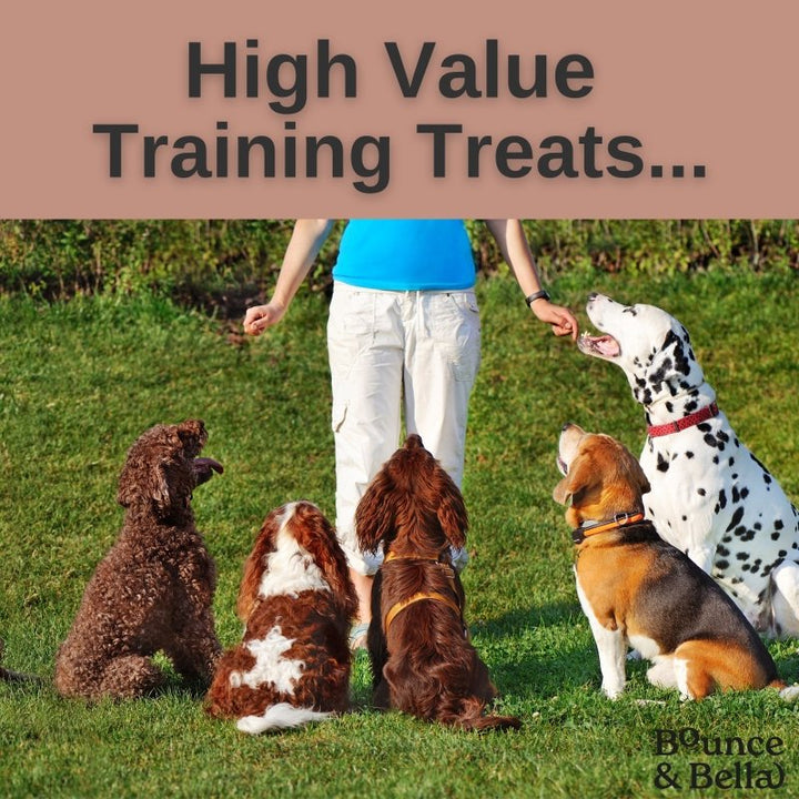 Grain-Free Ultimate Training Treats for Dogs - Poultry 500g