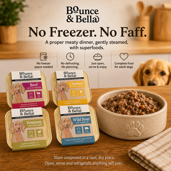 Convenient Bounce &amp; Bella wet dog food trays served in a dog bowl