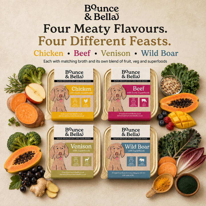 Bounce &amp; Bella wet dog food trays in Chicken, Beef, Venison and Wild Boar