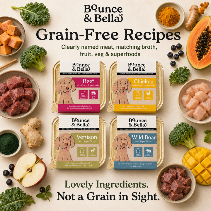 Grain-free Bounce &amp; Bella wet dog food trays with fruit, vegetables and superfoods