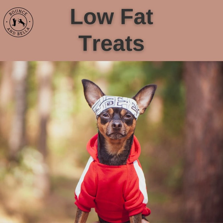 Natural Wild Boar Strips, low fat chews for all ages (from the Tasting Platter)