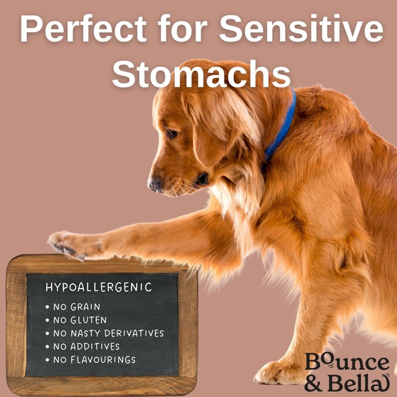 NEW 200g Grain Free Ultimate Training Treats for Dogs - Fish