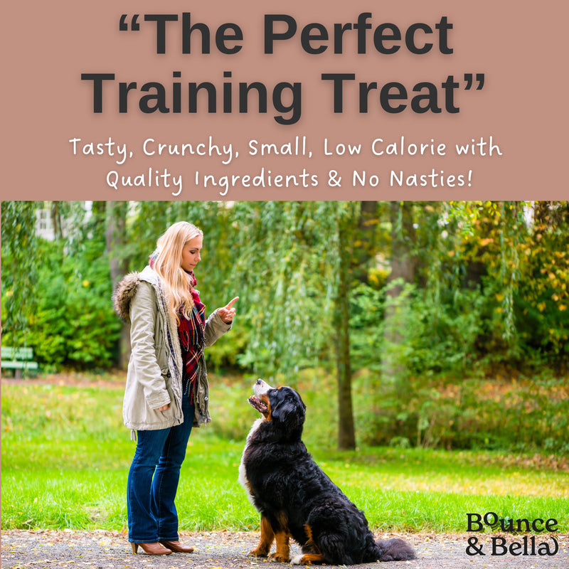 NEW 200g Grain Free Ultimate Training Treats for Dogs - Fish