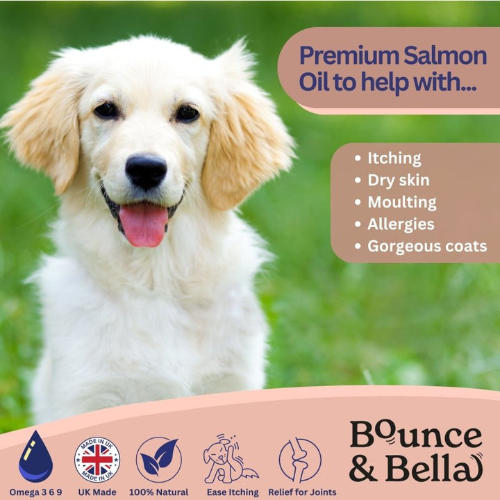 salmon fish oil for dogs to help itching