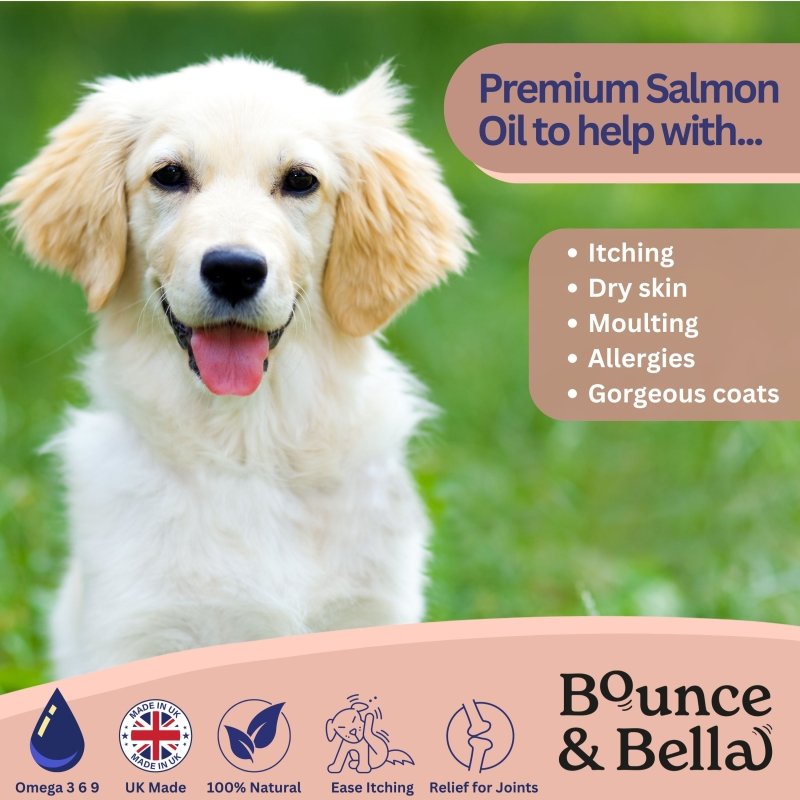 salmon fish oil for dogs to help itching