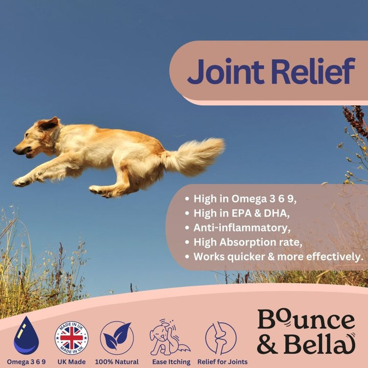 joint relief for dogs