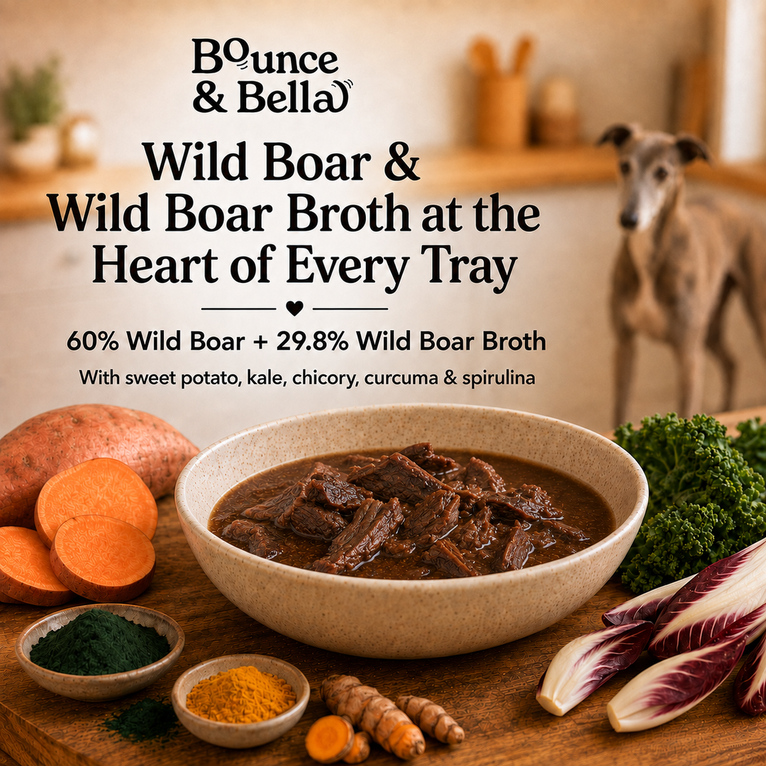 Wild boar wet dog food with 60% wild boar and 29.8% wild boar broth
