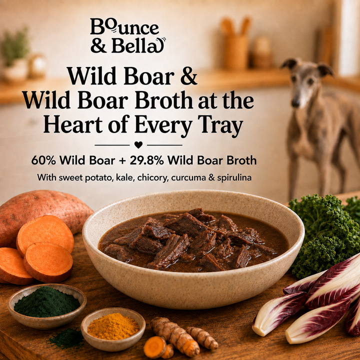 Wild boar wet dog food with 60% wild boar and 29.8% wild boar broth