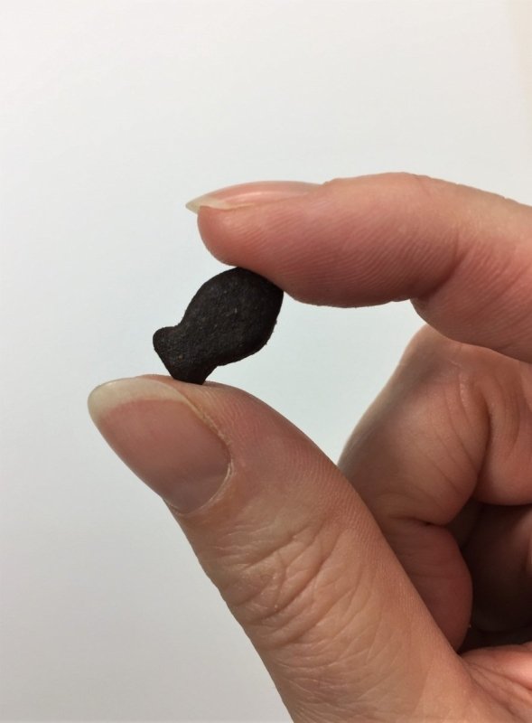 A close-up of a Grain-Free Fish treat being held between two fingers. 