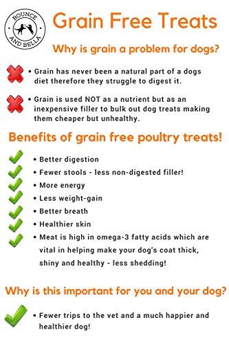 An Infographic detailing why Grain-Free Treats are so healthy. 