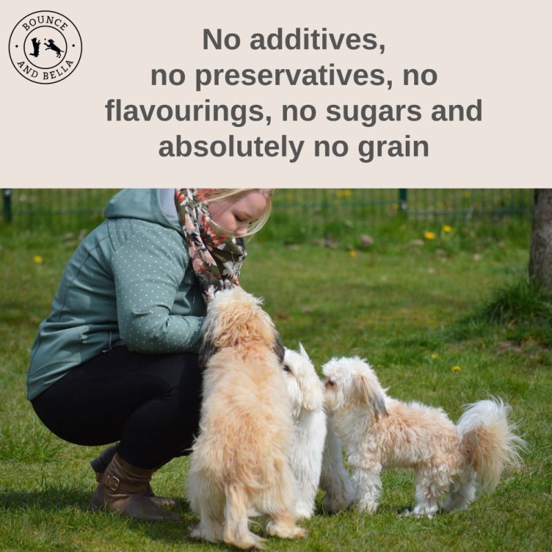 grain free poultry training treats