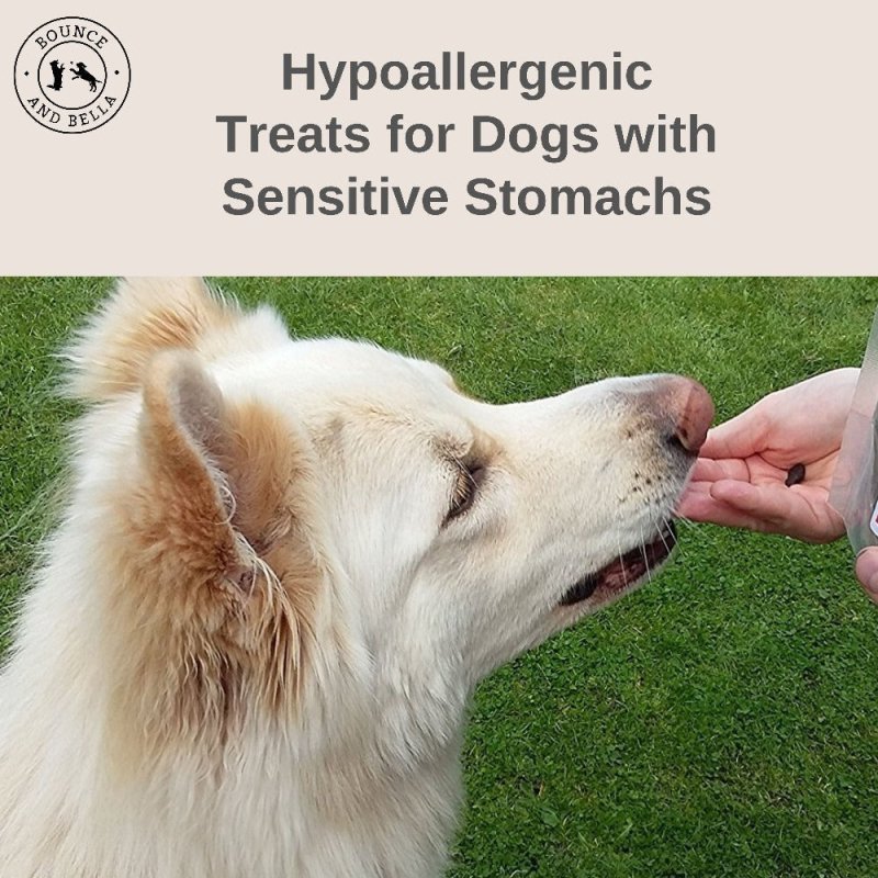 grain free poultry training treats